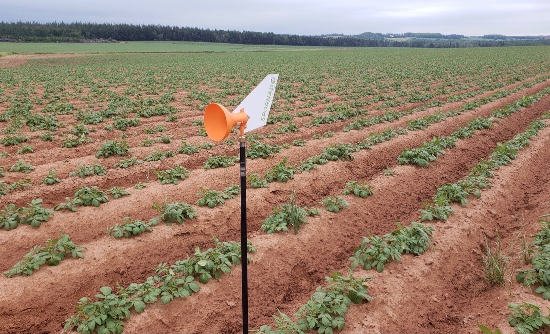 Ukko has partnered with Spornado! It is an early crop disease alert system that identifies crop disease in the air, long before it’s seen on the crops. Our growers this year will have the choice of Late and/or Early Blight in weekly or biweekly sampling periods. <a href="/spornadosampler/">Spornado Inc.</a>