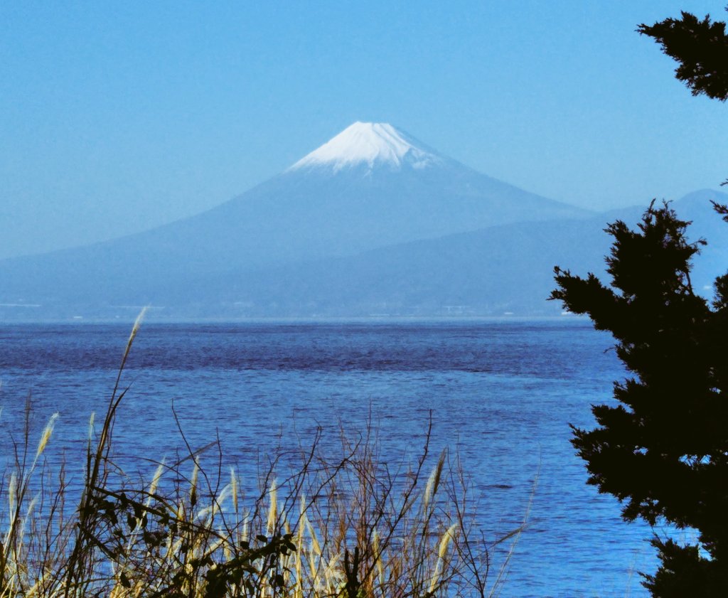 sumy231231's tweet photo. おはようございます😊
本日も素晴らしい日になりますように🙏 https://t.co/dptA89c9Zv