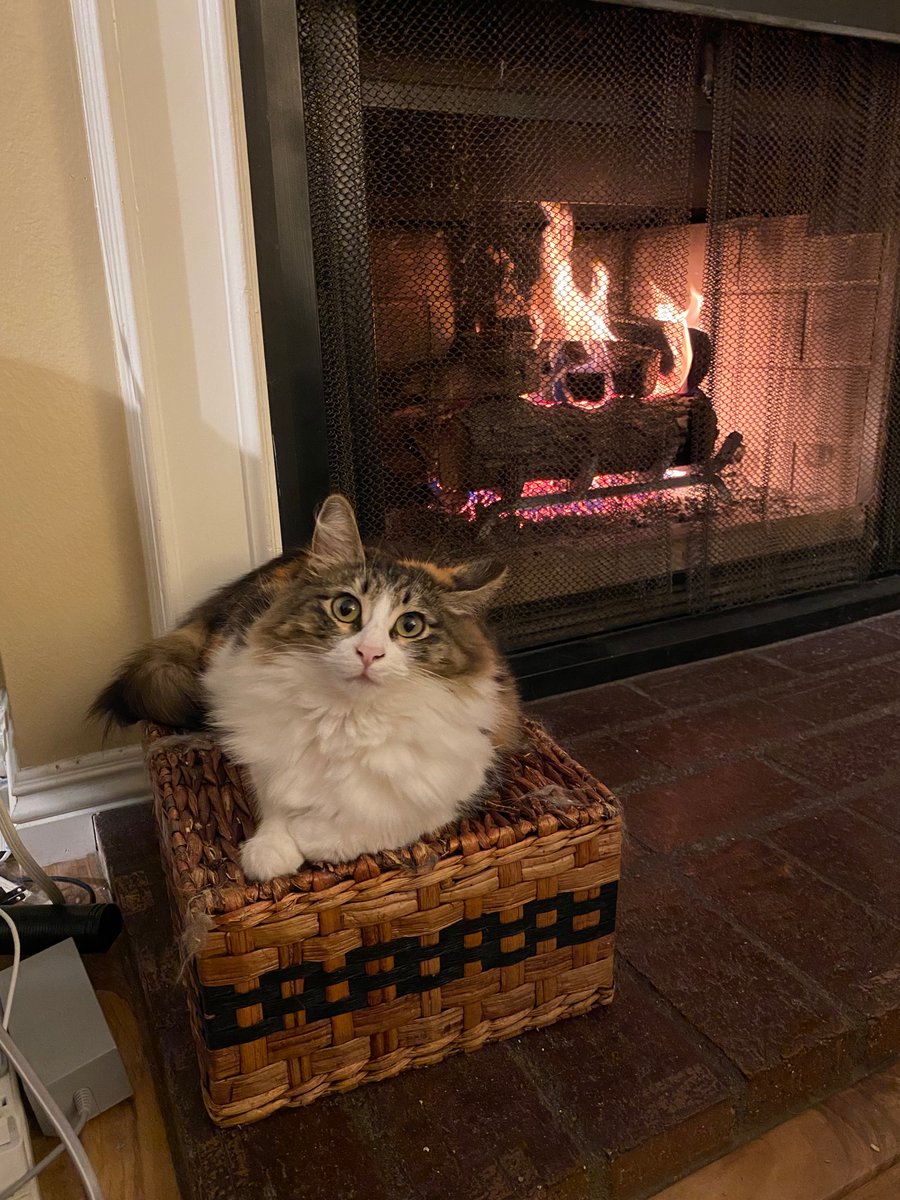 ek_csulb tweet media