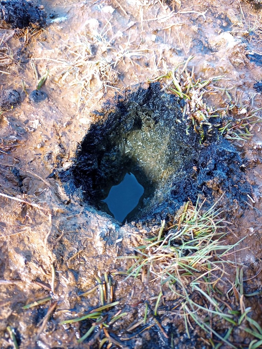 MariaVaieretti's tweet photo. This week, field work https://t.co/oiuoNmlcRm