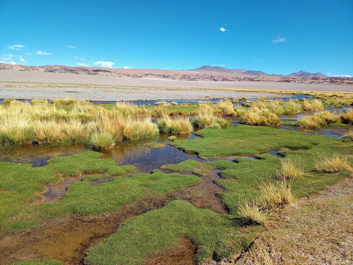 MariaVaieretti's tweet photo. This week, field work https://t.co/oiuoNmlcRm