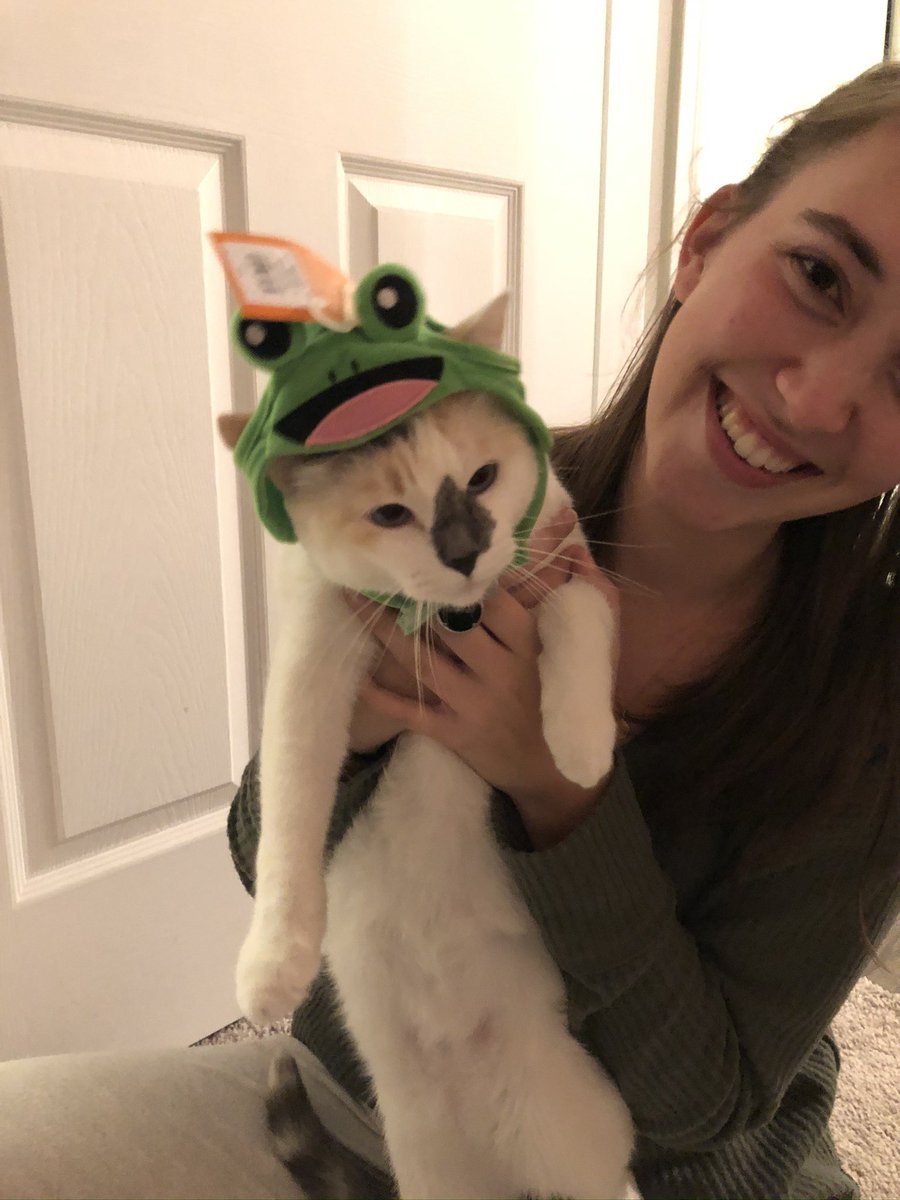 ali_ebbs's tweet photo. @LaurenMincey I have almost the exact photo but it’s koala in a frog hat being held by my friend https://t.co/JUQV7Ul7vB