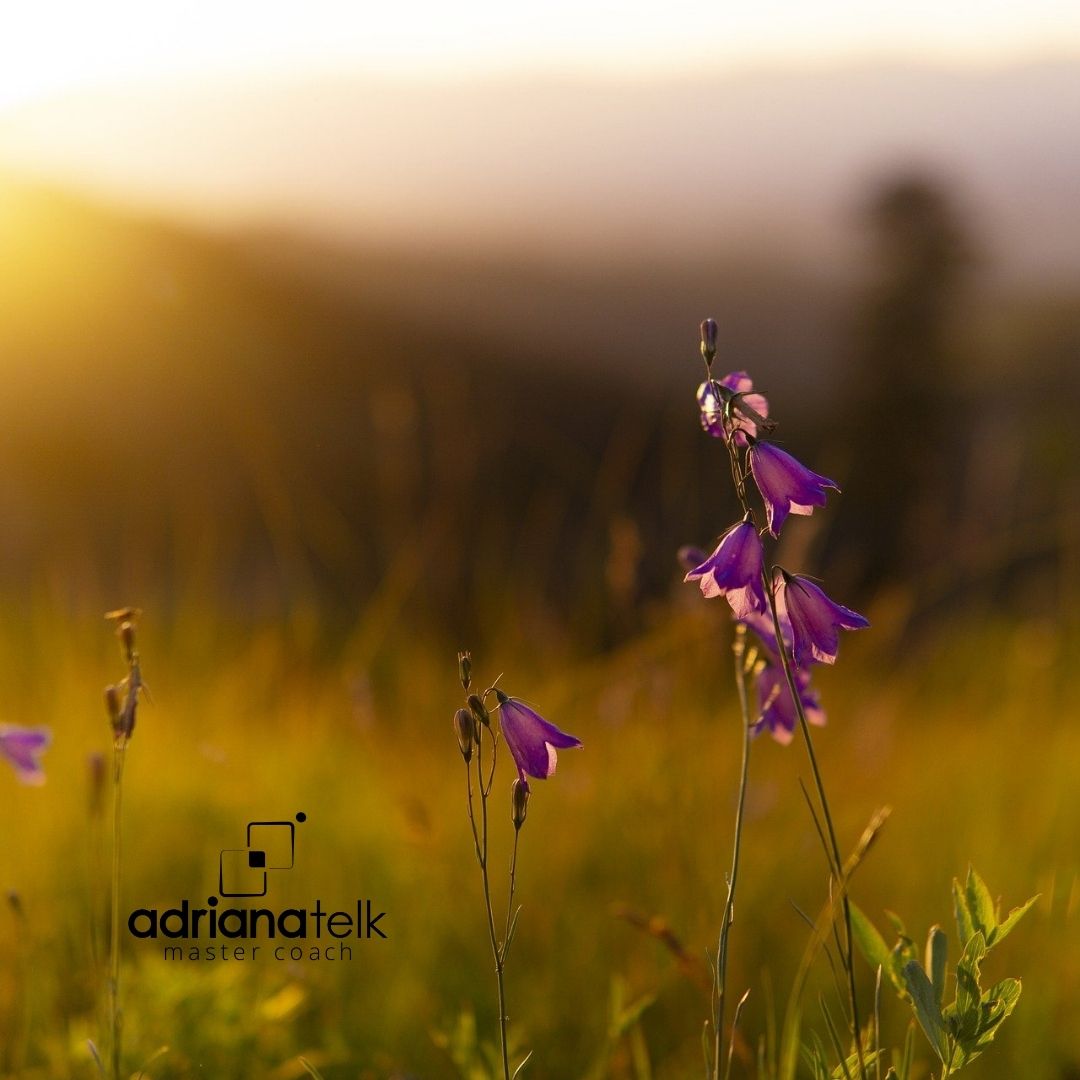 Quanto mais #autoconhecimento temos de nós mesmos, mais conseguimos identificar os sabotadores em nosso modo de pensar ou agir. 

melhor é a sabedoria do que a força, ainda que a sabedoria do pobre é desprezada e as suas palavras não são ouvidas (Ec 9:16).

#adrianatelk #coaching