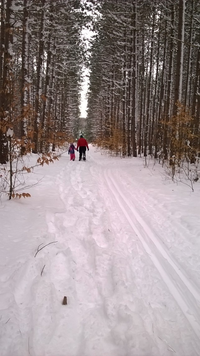 "Let the clean air blow the cobwebs from your body. Air is medicine."

~ Lillian Russell (1862-1922) #quote
📷 USDA Forest Service