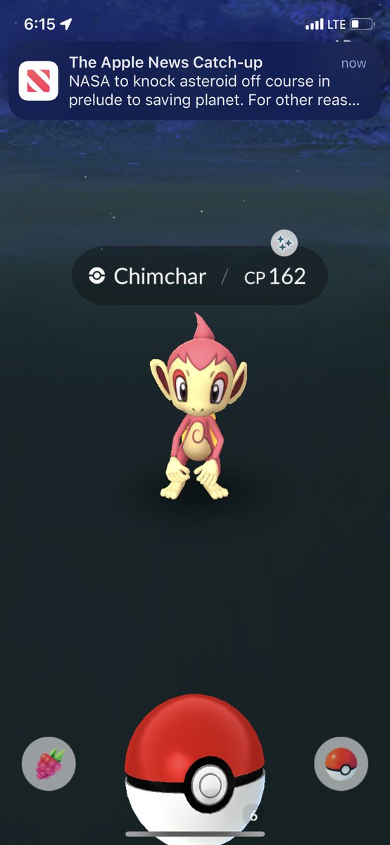 Deez_sstun's tweet photo. Next up piplup!✨#ShinyCheck #shinystarters #Pokemon #PokemonGo #shiny https://t.co/AmLeQBwihs