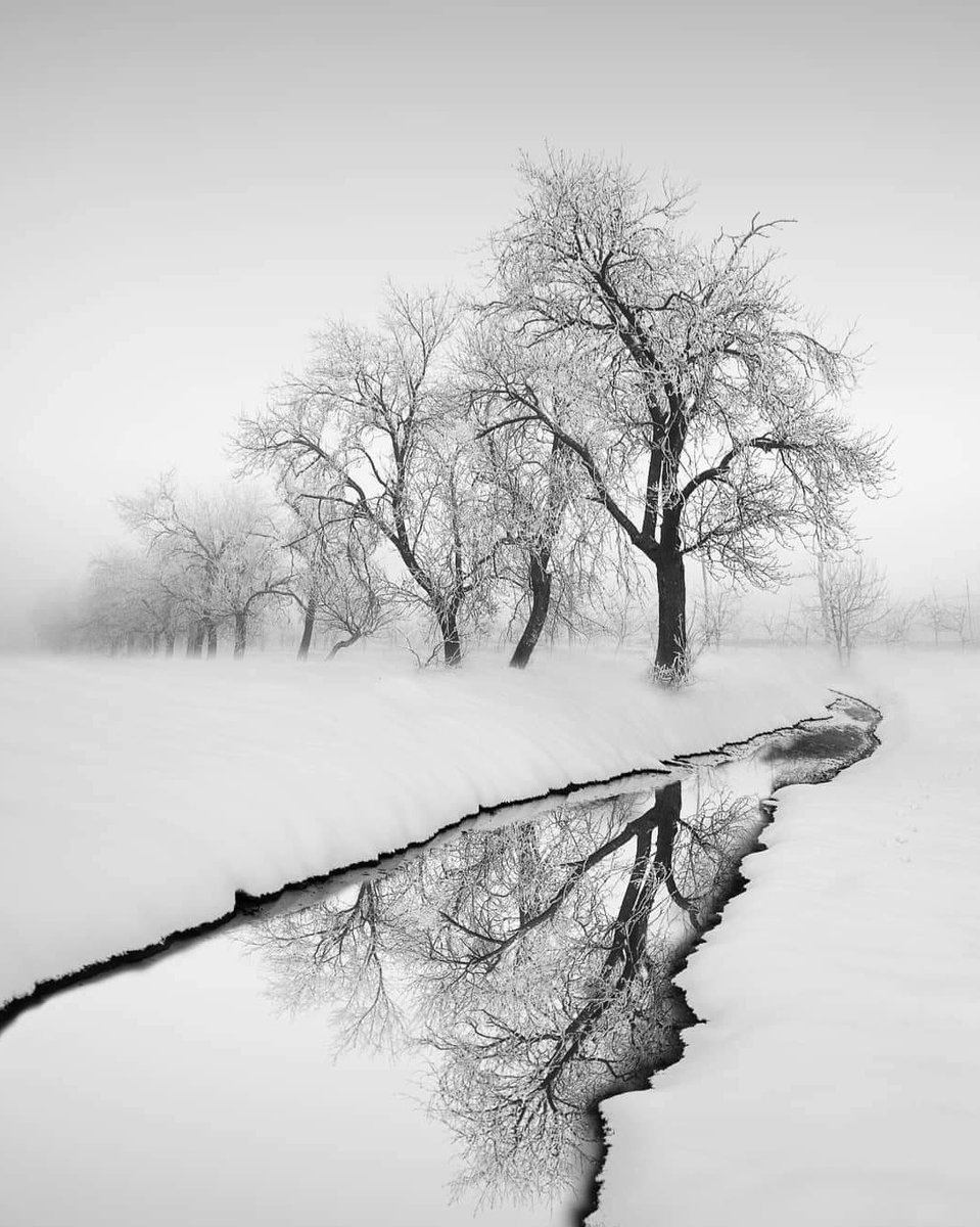 Ksenija_Ksy's tweet photo. Kruno Kupresak https://t.co/wZta1oc5pW