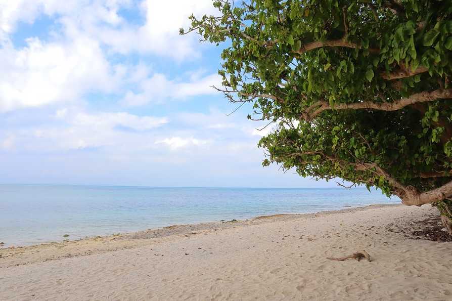 ,
石垣島2日目🏝✨
,
朝からフェリーで竹富島へ🛥
,
水牛車乗って暑い中サイクリングして楽しかった〜🐃✨
あまりやる気のないレキオくんありがとう！💕
,
海も空も自然も綺麗だし食べ物は美味しいし最��