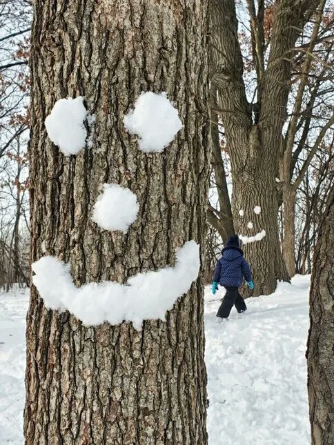 OakRidgeMagnet's tweet photo. Snowman building during outdoor play today! ⛄️ https://t.co/OAeTQY27eo