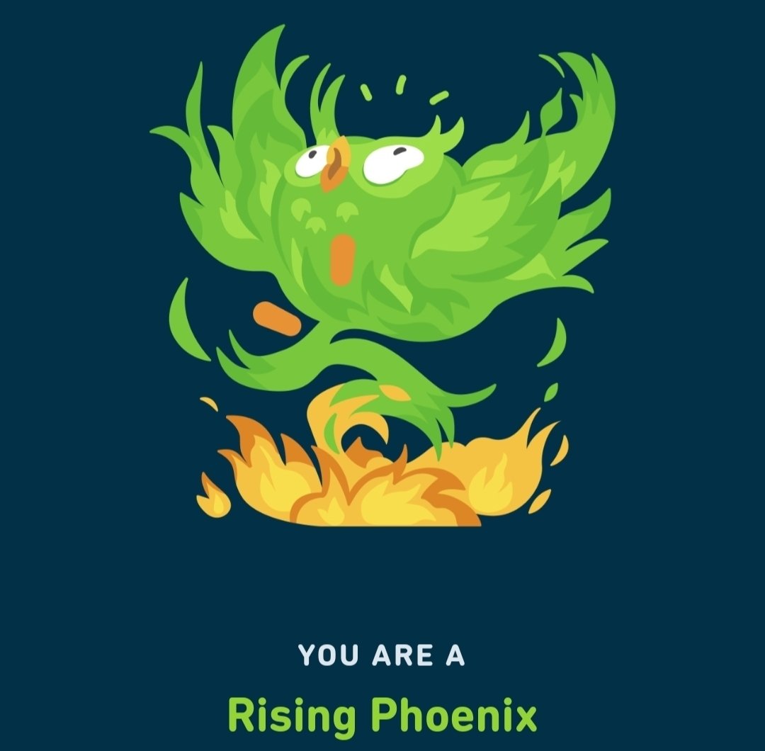 BukeLuke's tweet photo. That gave me a good chuckle #Duolingo365 https://t.co/fRLw4w5sVJ