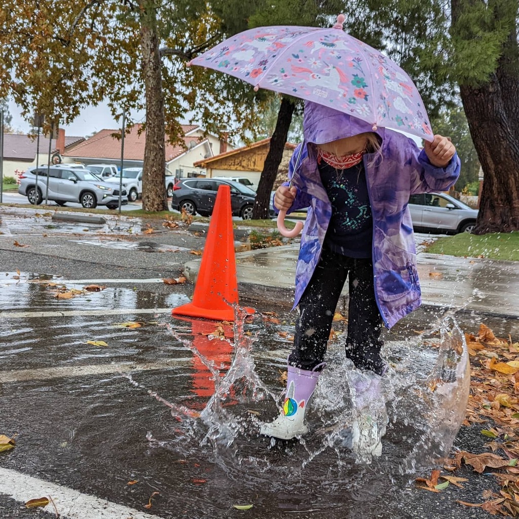 SomeGadgetGuy's tweet photo. Lex has EXCELLENT taste in puddles. ACTION KID SHOT GO!
#SPLASH #rain #rainyday #pixel6pro #family #giftfromgoogle #kid #kids #puddle #puddles #puddlestomping #android #androidography #phonephotography #phoneography #raindrops #losangeles #fall #autumn … https://t.co/eaHDc1cJp0 https://t.co/jWDE3KREXQ