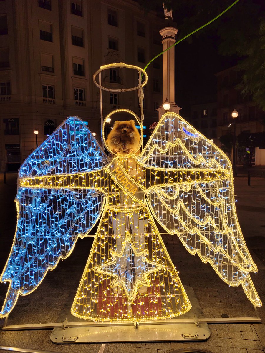 sofiadevaan's tweet photo. Compartid al “Toreto el Arcangel” para que tengáis buenas vibras y MUCHA SUERTE en los exámenes 🧿 https://t.co/oCAvfUBBMP