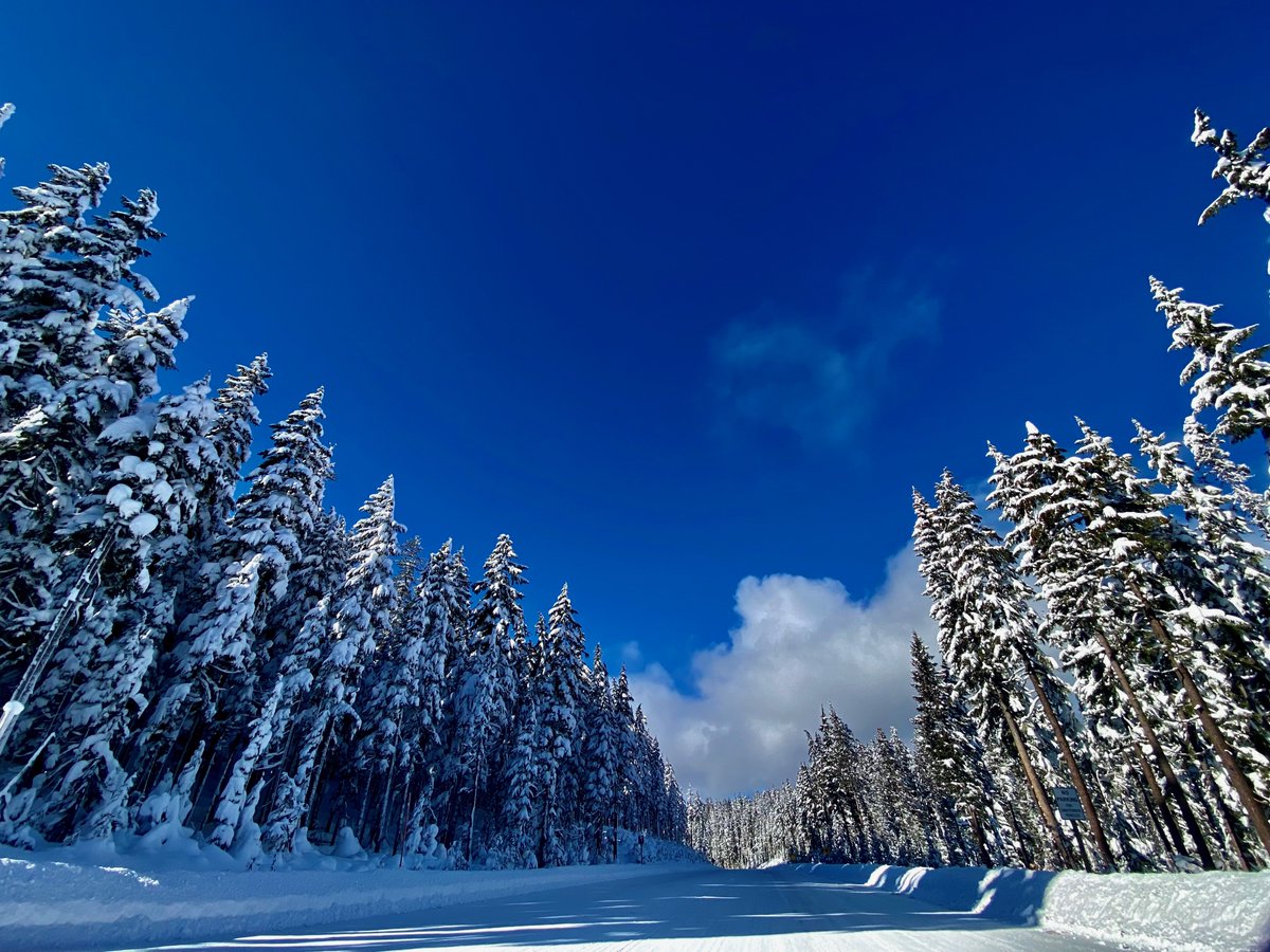 OregonDOT's tweet photo. OR 58 showed up today all pretty and ready for it's holiday season photos. 🤩 

#ORwx #WillamettePass #SaltCreekTunnel #LaneCounty #OregonBeauty #PNW https://t.co/iO0l2urAqy