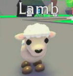 Andrew__G23's tweet photo. ɢʀᴏᴜᴘ, ʟᴀᴍʙ, ᴀɴᴅ ʀᴏʙᴜx ɢɪᴠᴇᴀᴡᴀʏ! 💵🐑
The rules are:
-Follow @Andrew__G23 and @itzBryanthegam2!
-Like and retweet!

1ꜱᴛ ᴘʟᴀᴄᴇ: Roblox group with 100 pending funds
2ɴᴅ ᴘʟᴀᴄᴇ: 150 robux
3ʀᴅ ᴘʟᴀᴄᴇ: Lamb
🎅Ends on Christmas good luck everyone 🎅
#adoptme https://t.co/80j3lB7U5J
