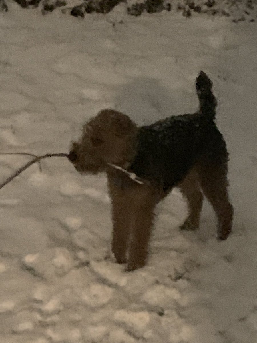 guy451m's tweet image. So snow. Is it “cool now”. I guess us new guys think it’s the norm.