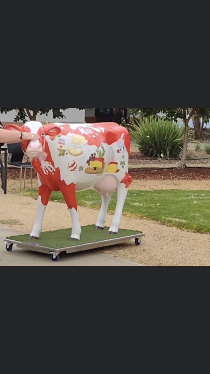 Paul Stammers tweet media