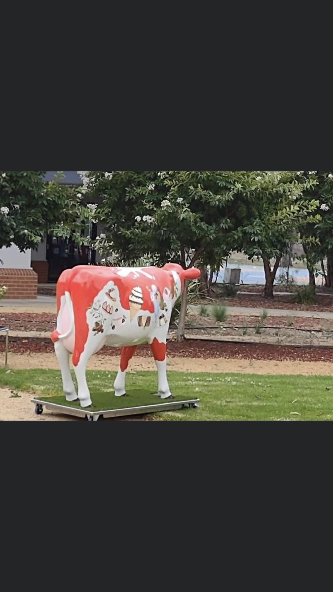 “Swannie” kindly painted by local artist Roz Rankin for the Katunga Primary School. What a great effort. The school included dairy in their curriculum this year, had a visit to the Hibma’s Dairy Farm all after receiving the Picasso cow from <a href="/Dairy_Australia/">Dairy Australia</a> <a href="/MurrayDairy/">Murray Dairy</a>