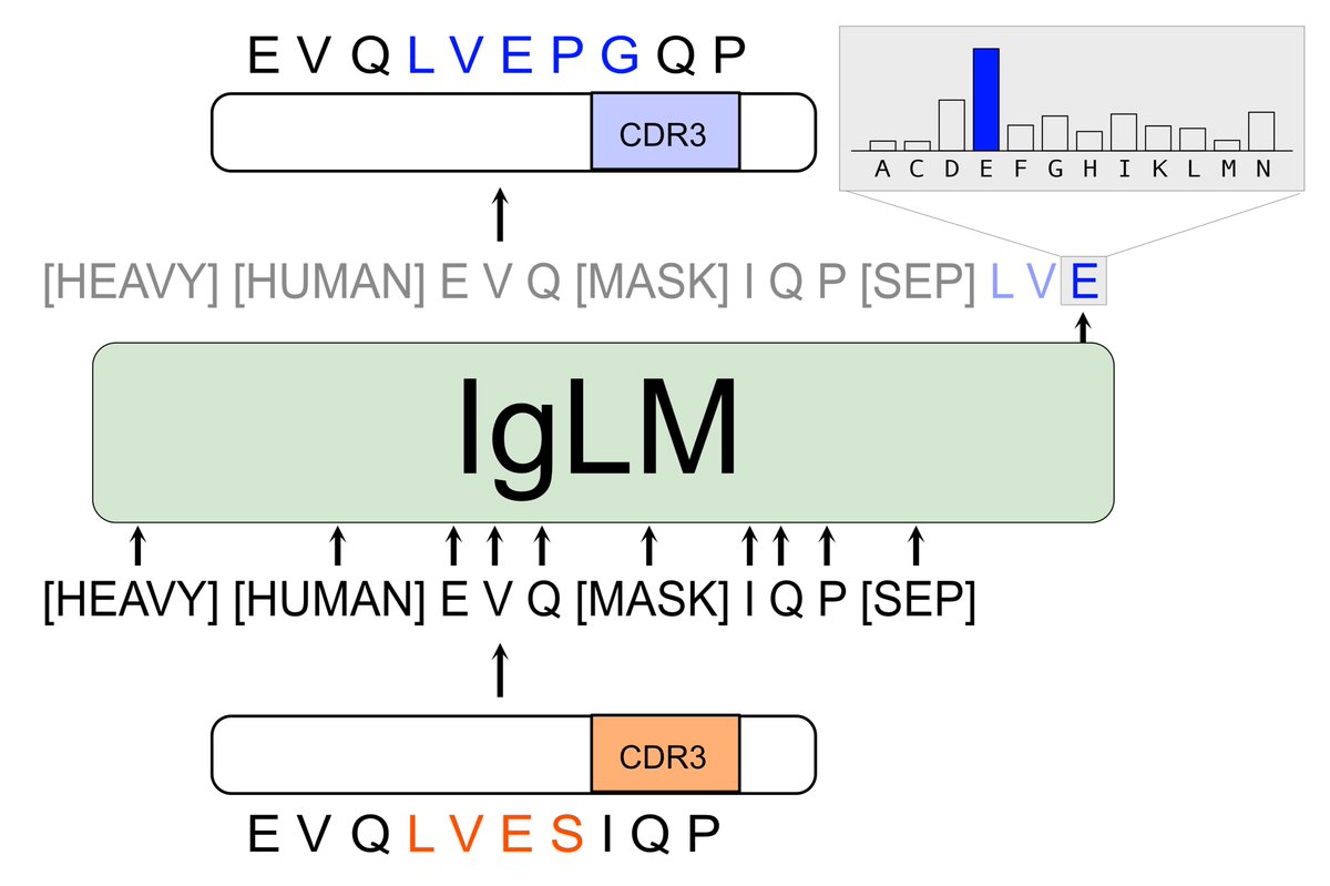 Jeff Ruffolo tweet media