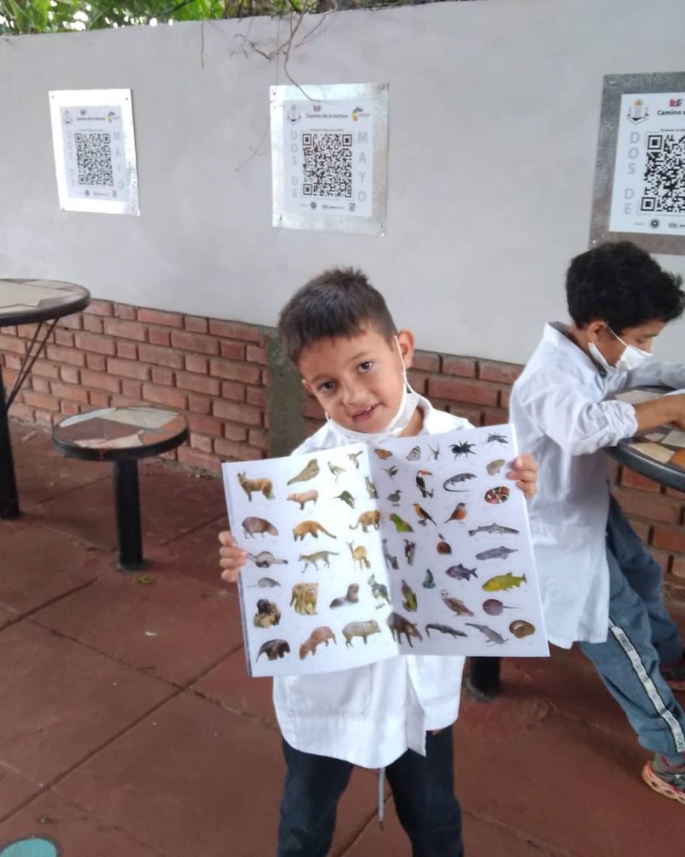 Escuela270's tweet photo. 📚 “El hallazgo afortunado de un buen libro puede cambiar el destino de un alma“ 📚
Agradecemos a @MarielaStumpfs por el hermoso obsequio para nuestros niños.
@CGEMisiones
@misioneseduca https://t.co/geX6vaiLxu