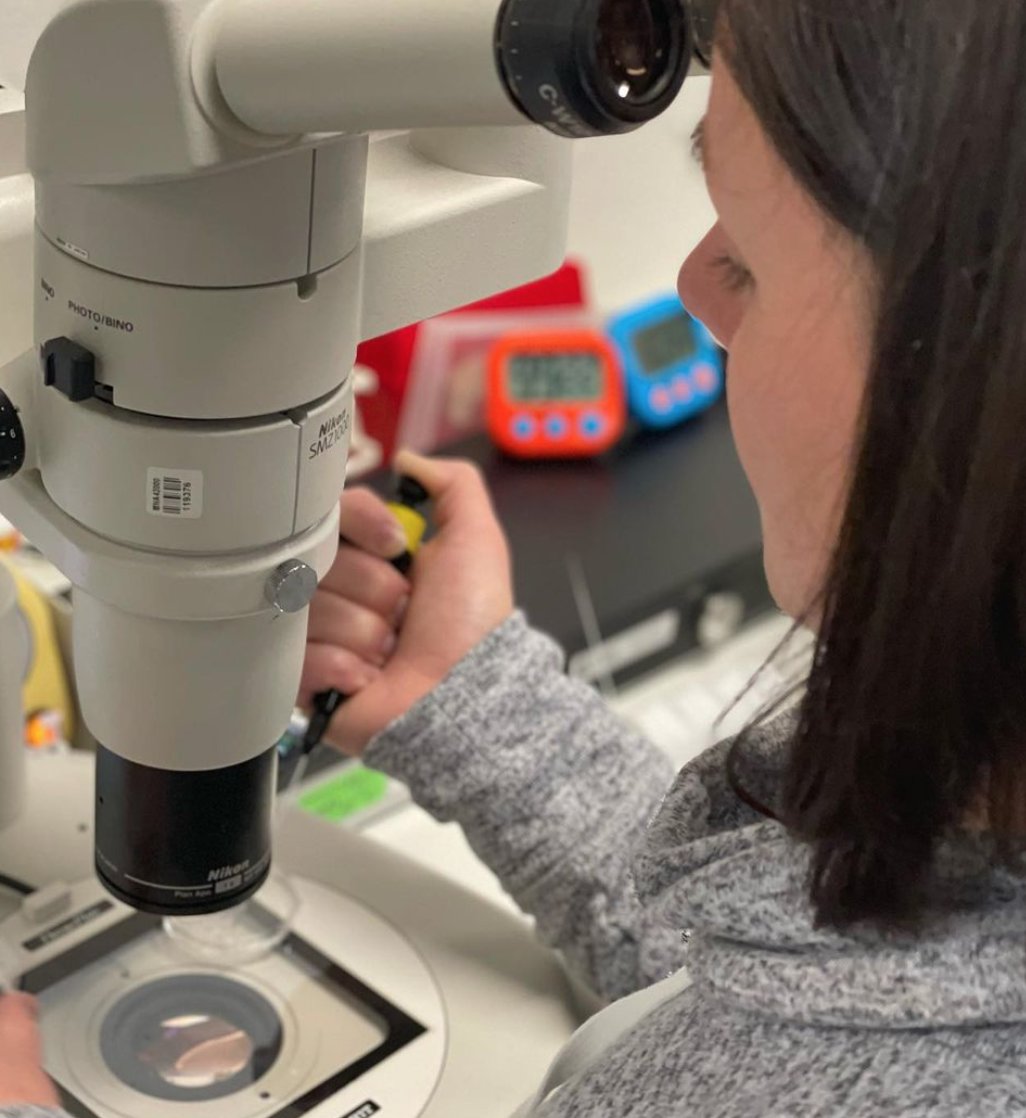 WorldEmbryology's tweet photo. Private training Katie last week! She thinks tubing the biopsied cells is harder than the biopsy itself!!! Which was harder for you to learn, biopsy, or tubing? 🔬 https://t.co/gGL2IEwVzz