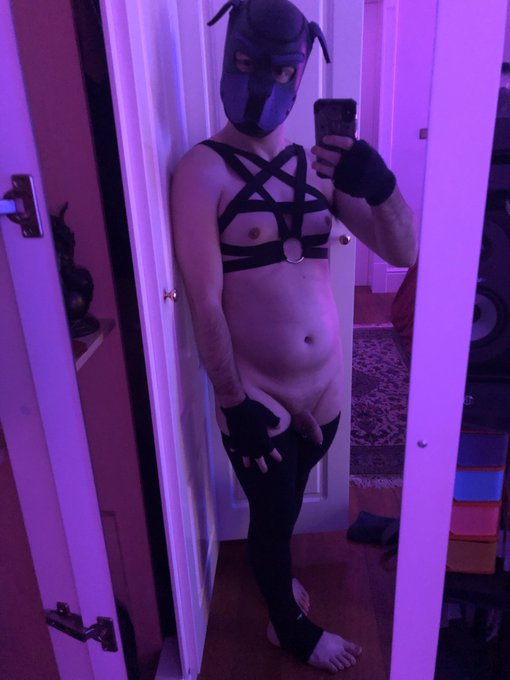 Got this today, but I think it looks better with me wearing it, don&rsquo;t you think? https://t.co/hBXWeR