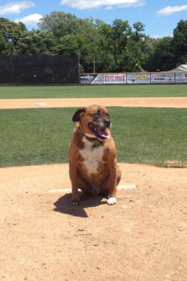 Rick Blyberg tweet media