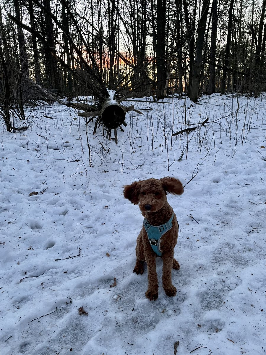 doing what we do best (exploring) (getting lost)