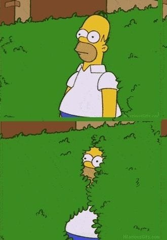 VJVattghern's tweet photo. Replacement for Homer Simspon meme
#VocalForLocal https://t.co/odTokZTUWB