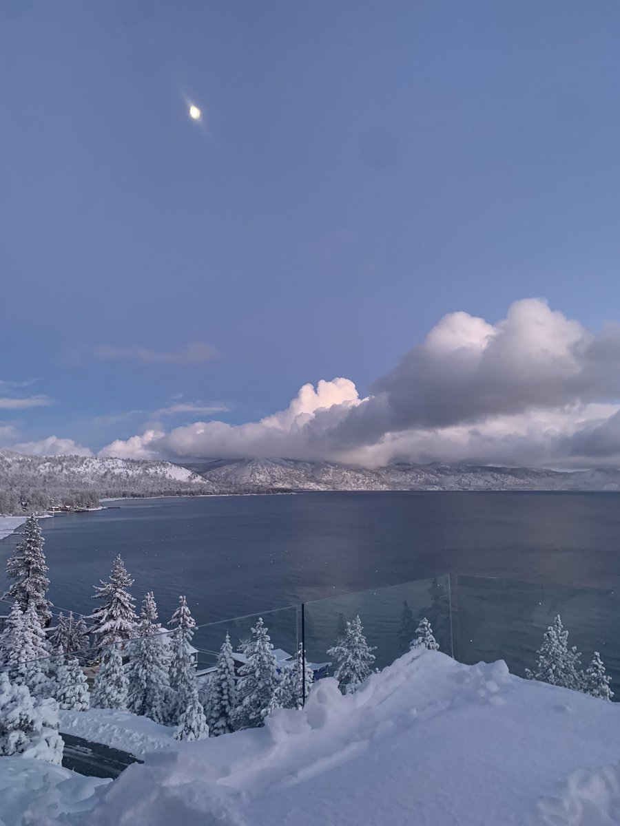 Giselle Ibarra ☾ tweet media