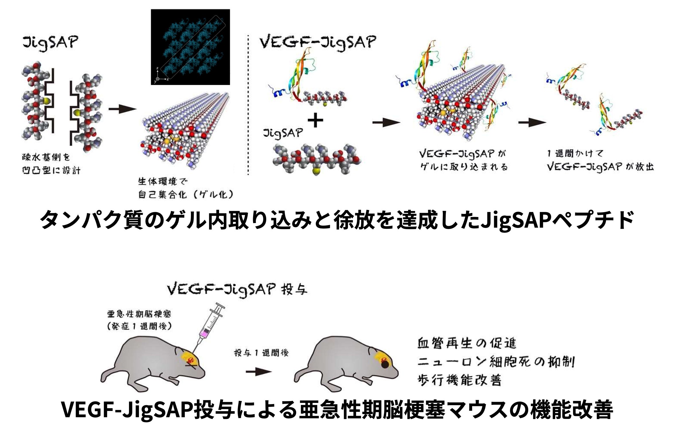 北里大学理学部 公式 Kitasato Sci Twitter