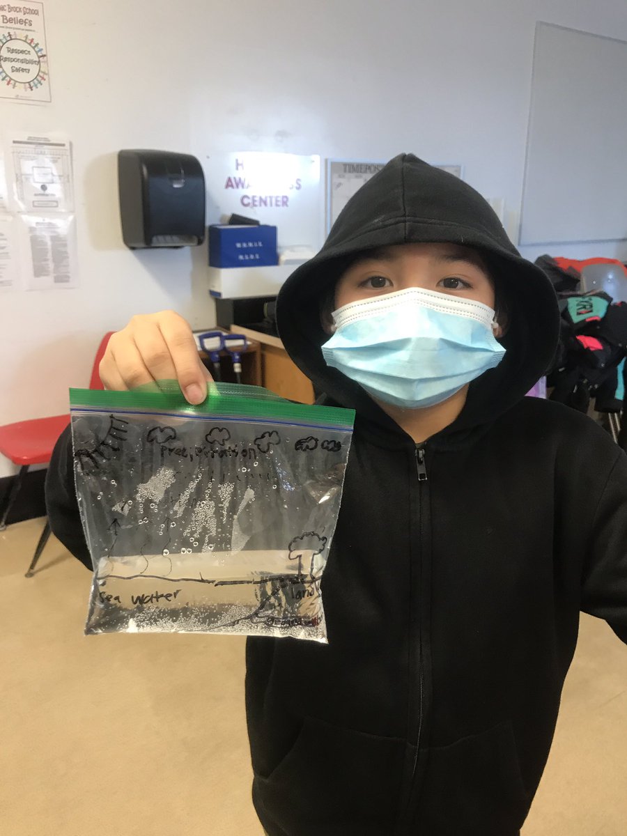 DeebEdmonds's tweet photo. Water Cycle in a bag @IsaacBrockWSD in Room 2! #winnipegSD #Science #Weather https://t.co/QzOwhUszr2