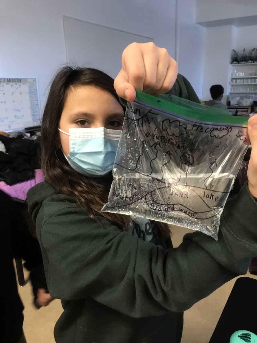 DeebEdmonds's tweet photo. Water Cycle in a bag @IsaacBrockWSD in Room 2! #winnipegSD #Science #Weather https://t.co/QzOwhUszr2