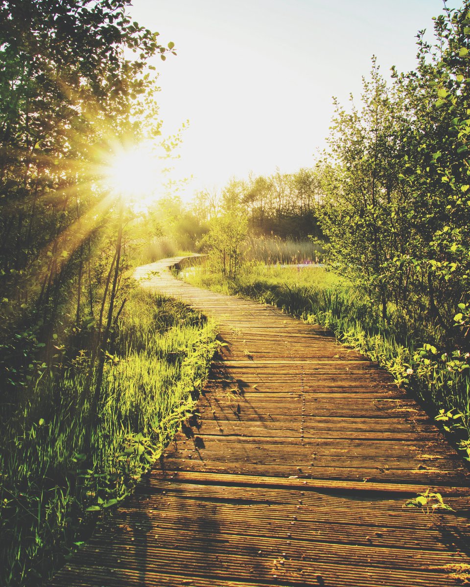 jeffreyvandyk's tweet photo. You've done the work to get clarity about who you are, your purpose, and your contribution. Now is the time to step out and focus on being a liberator in this world. You have become Humanity’s new story, and you activate that story by sharing yourself! #liberators https://t.co/tKQB8DtU4M