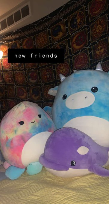 the only way to cope 💪🏼 💪🏼 https://t.co/XxMfXhAeKm