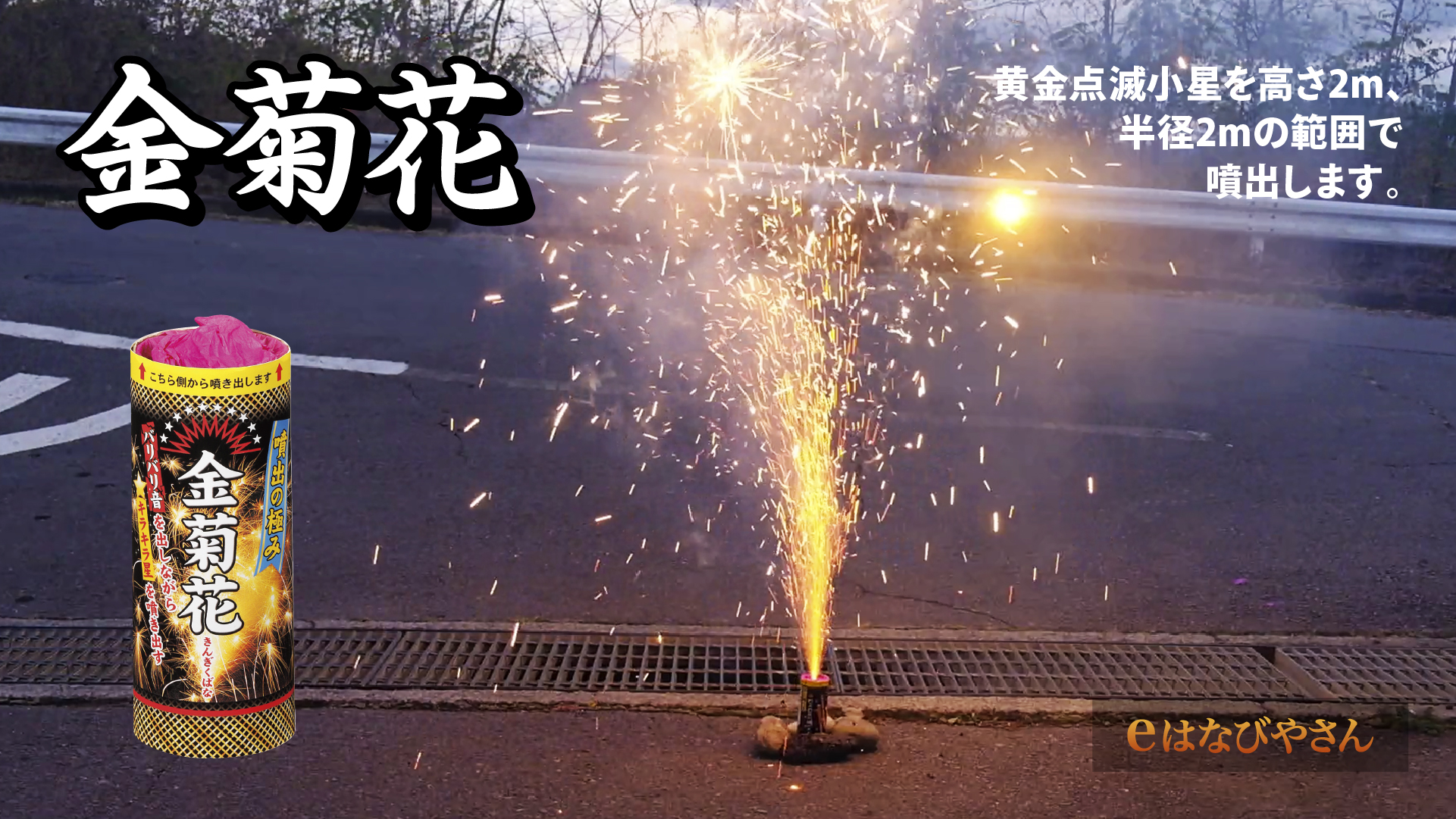 金菊花 Twitter Search Twitter