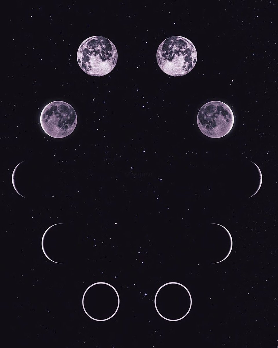 aestheticspost_'s tweet image. 