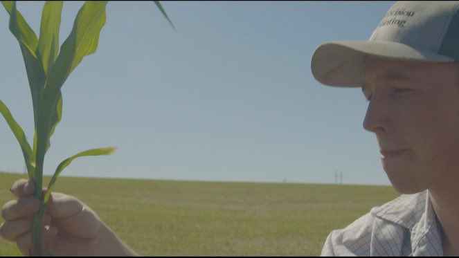 Find someone who looks at you like <a href="/cgarrett99/">vern</a> looks at a corn plant and you’ll be alright.