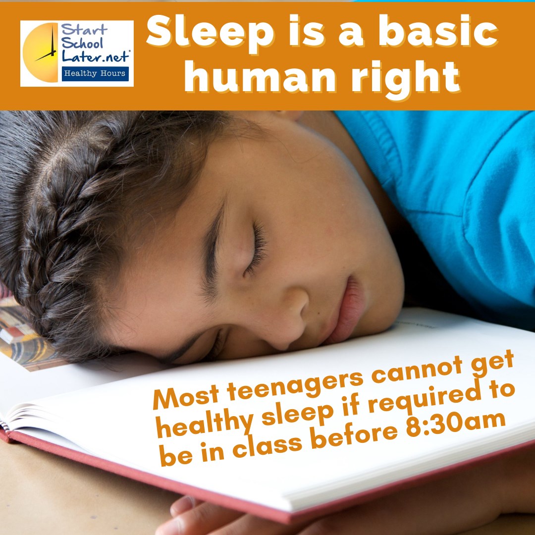 Healthy Hours tweet media