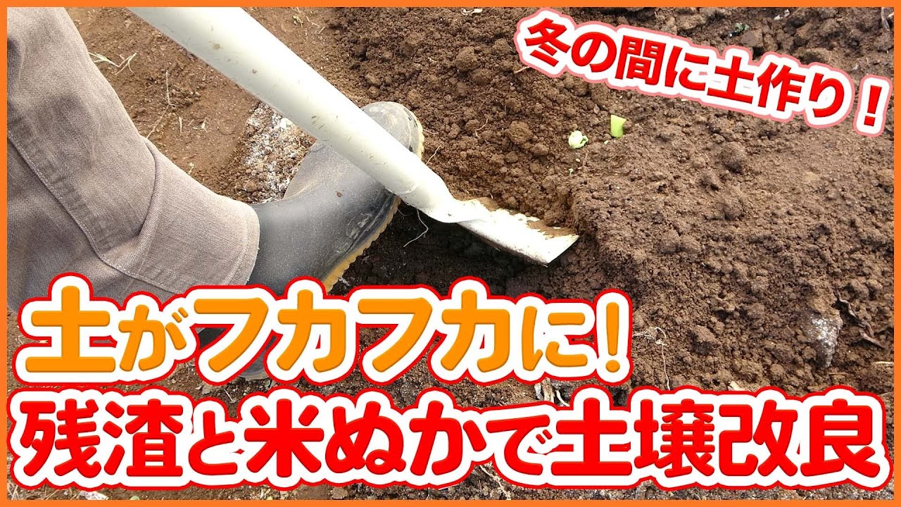 土壌改善 Twitter Search Twitter