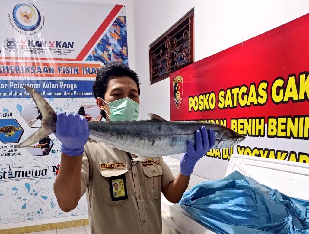 bppmhkp_jogja's tweet photo. 15/12 Petugas periksa lalulintas ikan segar asal Semarang dengan tujuan negara Singapore 

#BKIPMKKP
@bkipm_kkp @rinajanwar2201 @EdiSant87082110 @fish_haryanto @verr_trisnajaya @merry_sundah https://t.co/m6eXDQNGSr