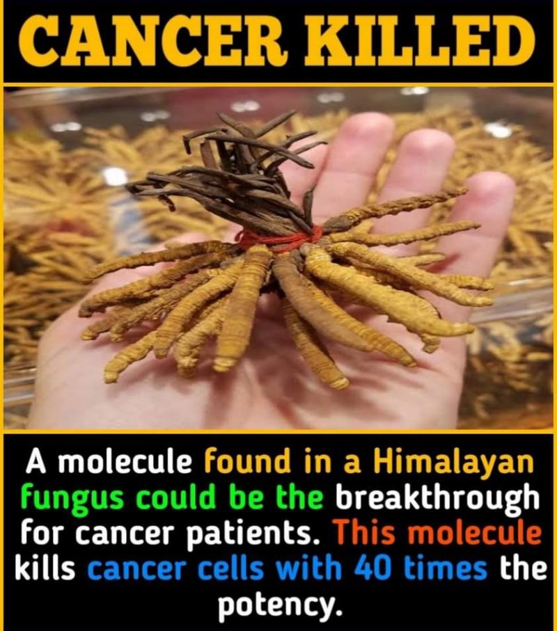 BeeMatney's tweet image. It's True, Not Rumor. Read This Article indiatimes.com/technology/sci…