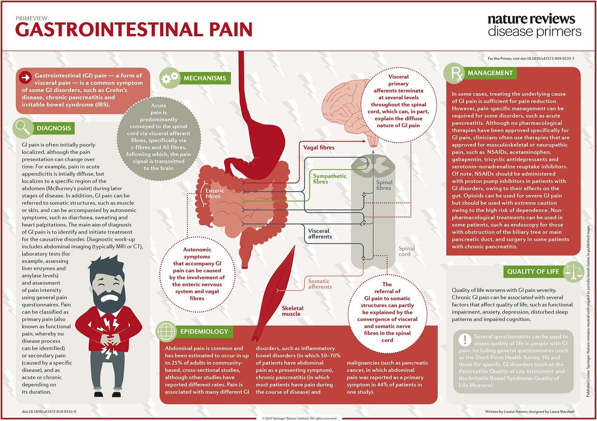 LaTriadaClasica's tweet photo. ¡Checa esta infografía de @DiseasePrimers sobre el dolor gastrointestinal!
https://t.co/RF2yeVM5Bn
#ENARM #ENARM2022 #Medicina #Gastro #EstudiandoAndo #MIPTEC #MIP #MPSS #ENARMIND #LaTriadaClasica https://t.co/lkixCH6Cvx