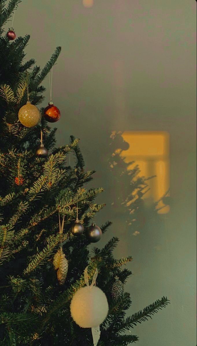 ⠀ ⠀ ⠀ ⠀⠀ ⠀ ⠀ ⠀₍🌱₎¨̮ ˂ͣ #⃞ chae's daily ִֶָ  :⃗
# xmas tree 

—Publica en instagram fotos de su día con <a href="/SxthKang/">Seth</a>.—

Muchas gracias por ayudarme a cortar y decorar mi árbolito navideño. 

🐸🍃