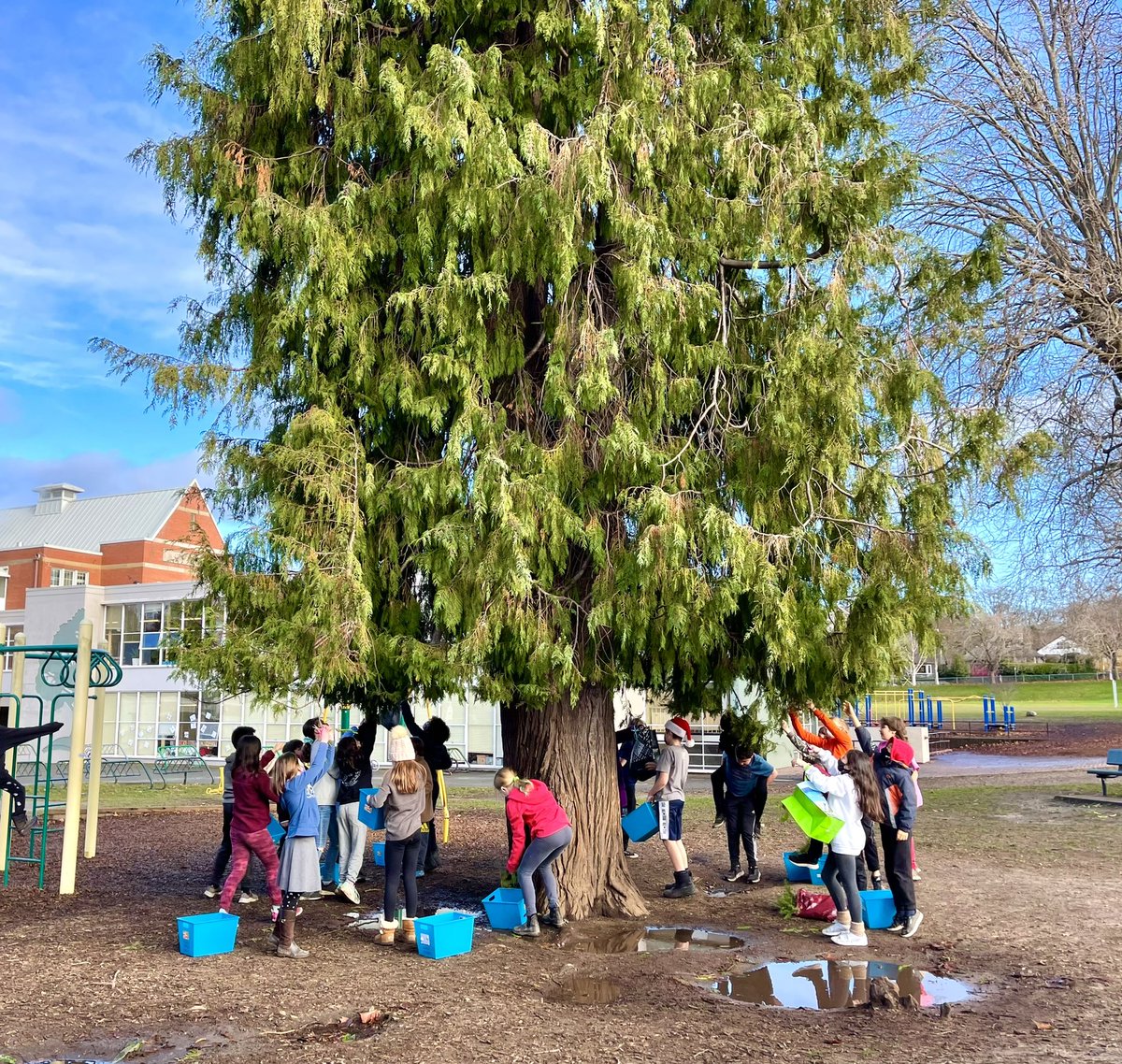 Making #wreaths in #Div2MsPoiriersClass <a href="/EcoleJenkins/">Ecole Margaret Jenkins School</a>