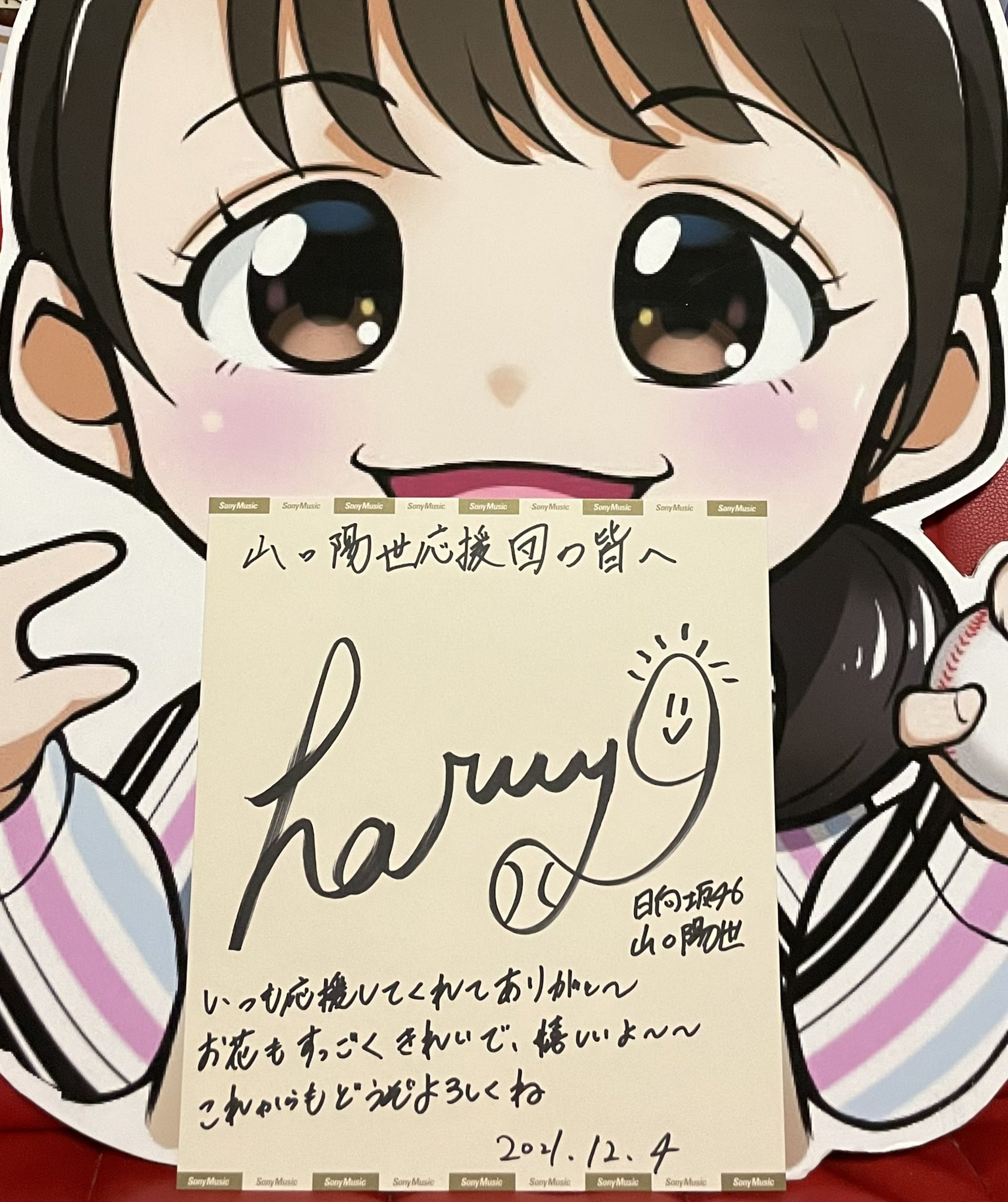 日向坂46 山口陽世 直筆サイン 生写真 - アイドル
