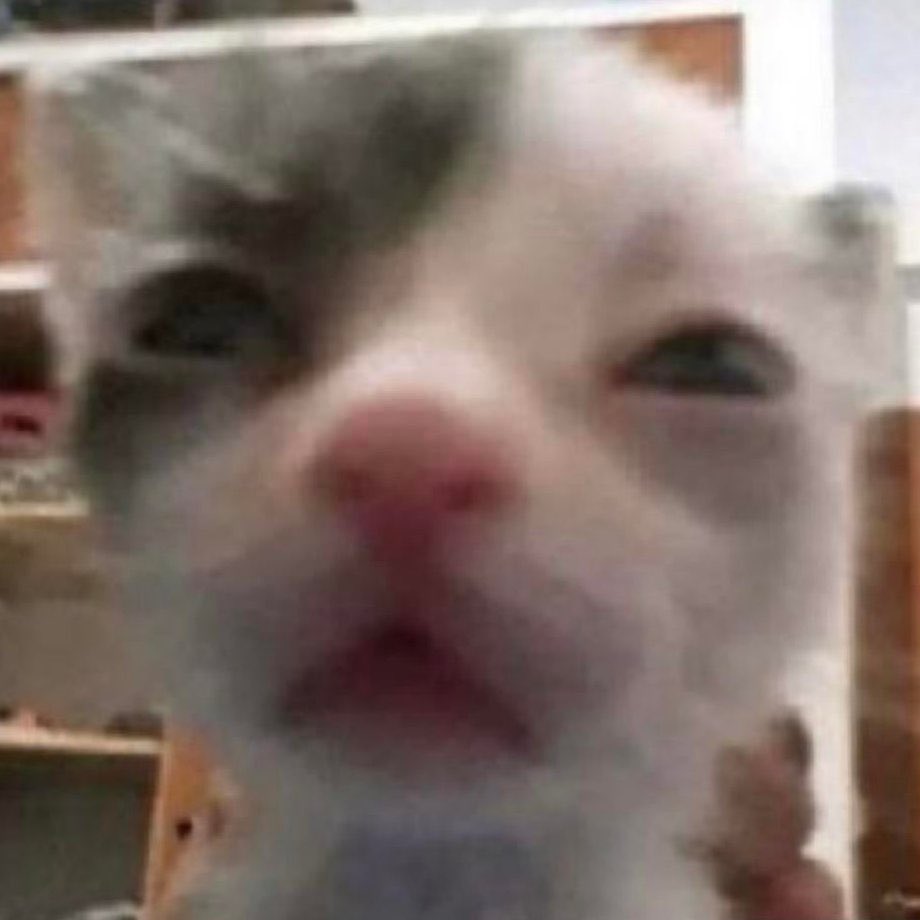 ||:  find me on my feng (<a href="/OfHerLithe/">—馮敏—❤︎</a> ) until I feel a bit better about my kate ... cuz rn im just ... ngl HHHH