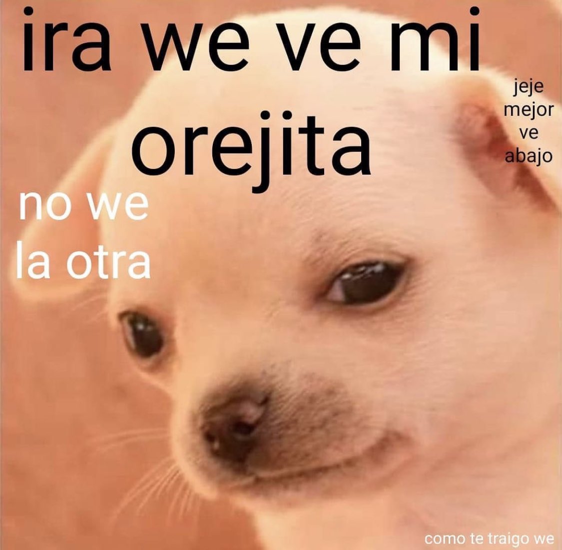 ItsNeko de Zuly (De_Armie_Hammer) Twitter