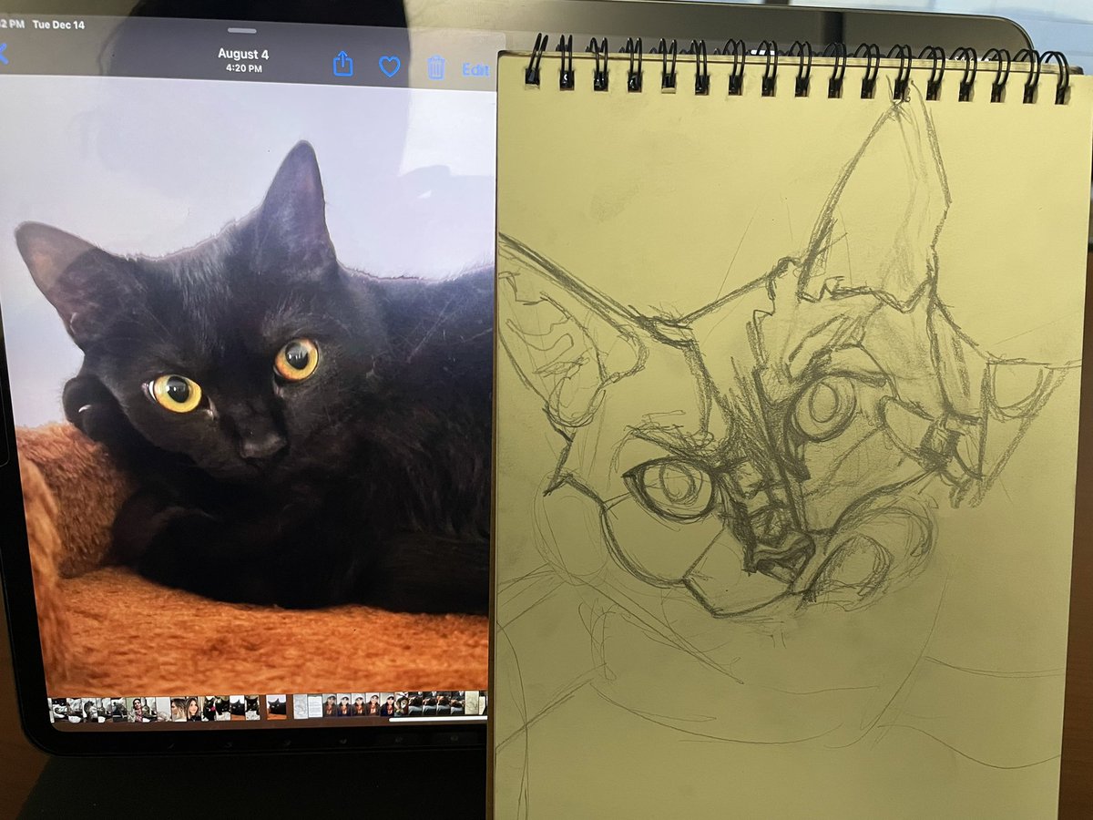 theartofgenesis's tweet photo. Did a 30 min study on my sister’s cat during my lunch break today. Looking at it now I feel like I made her head wider then it should be 😅😂 #blackcats #catstudy #quickdrawing #drawing https://t.co/cpt0GxnJ0s