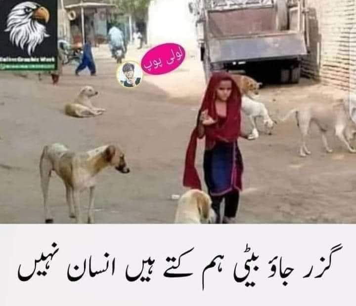 MahfoozRehman14's tweet photo. Sailant messages https://t.co/fesCl7aFjf