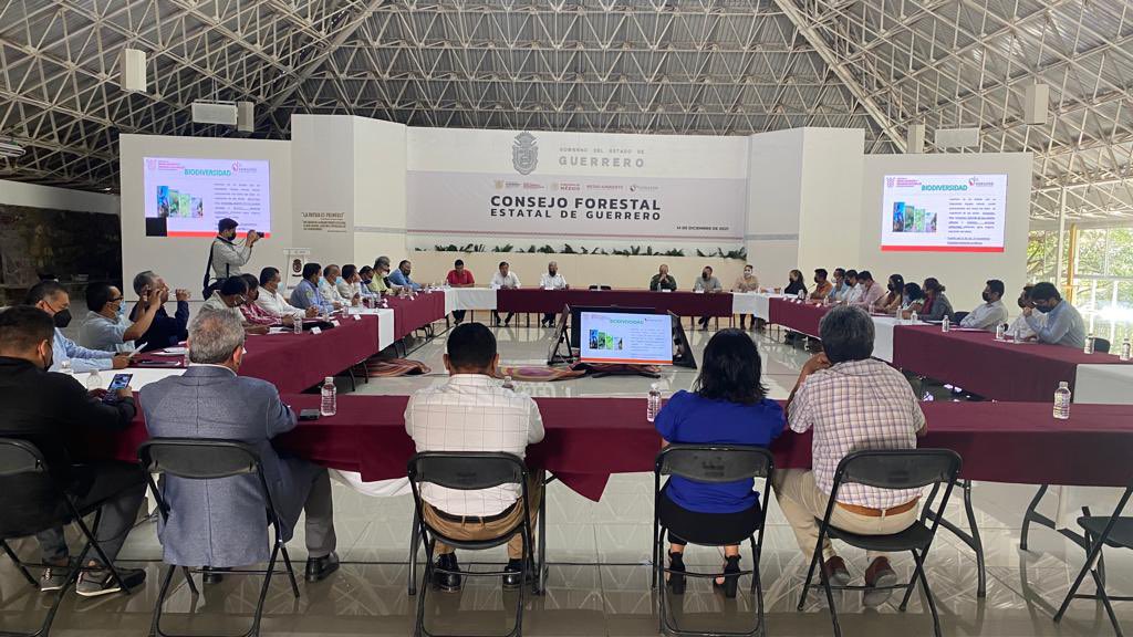 SEMARENgro's tweet photo. Toman protesta al Consejo Forestal de Guerrero.

El secretario del Medio Ambiente y Recursos Naturales, Ángel Almazán Juárez, mencionó que Guerrero tiene un importante potencial forestal, después del turismo y la minería, por lo que consideró importante trabajar sobre ellos. 🌲 https://t.co/mq00ZwxJVz