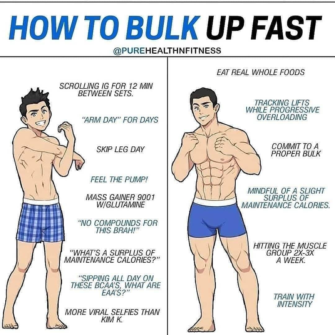 The Differences between the Bulking and Cutting Phases